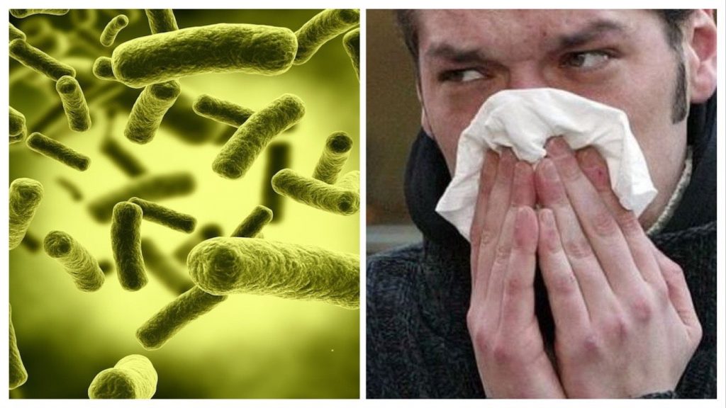 pandemia-influenza-potrebbe-causare-80-milioni-morti
