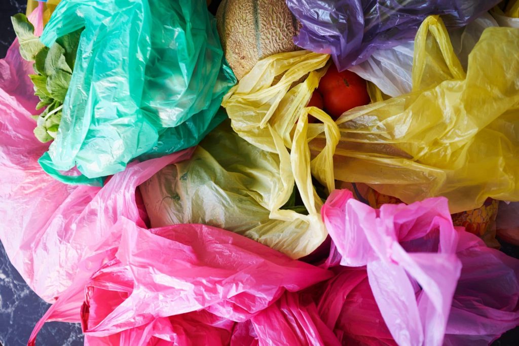 sacchetti plastica giornata mondiale