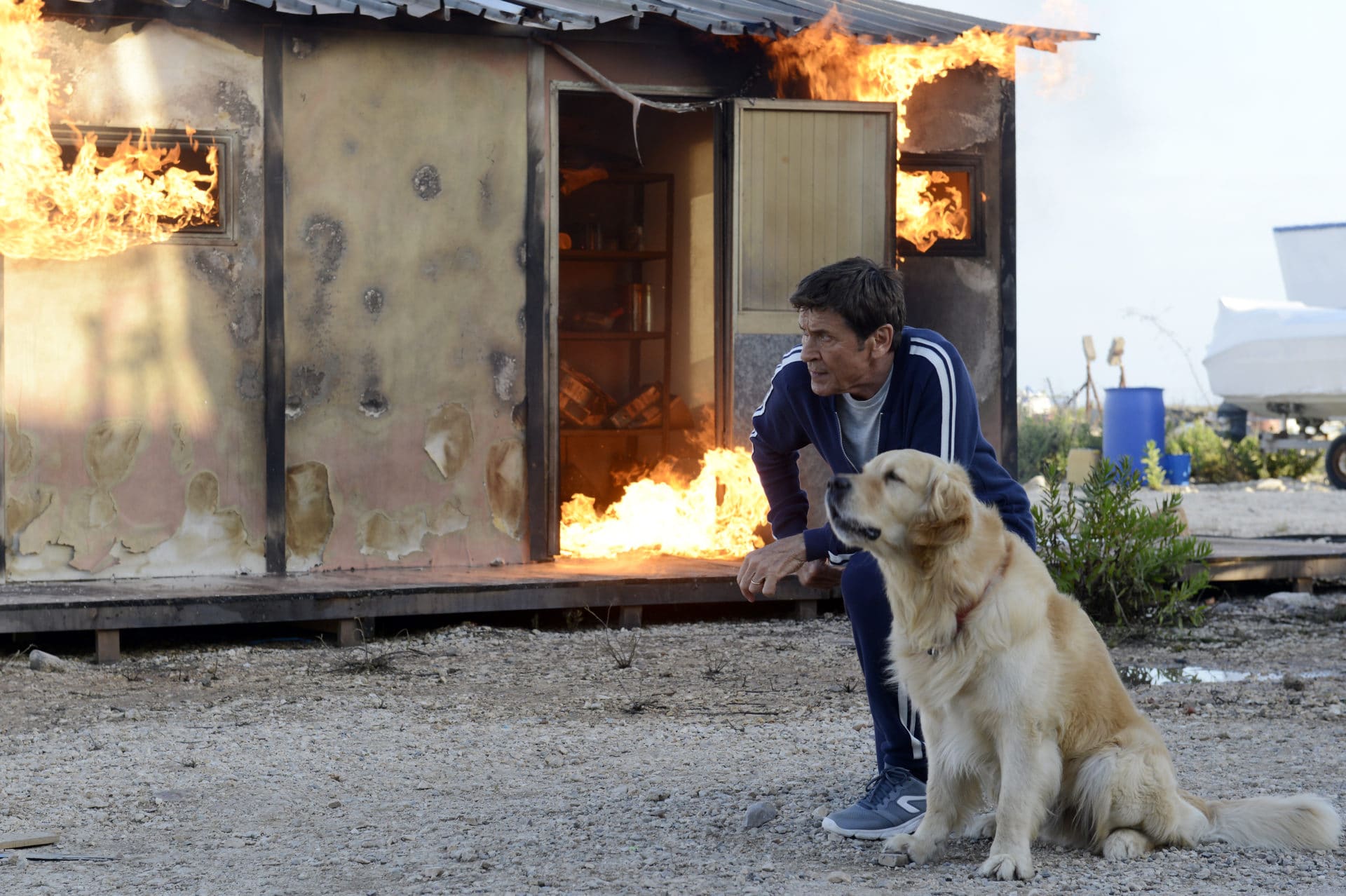 lisola di pietro riassunto