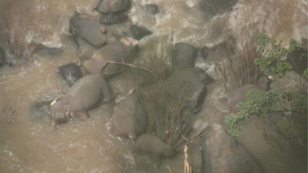 thailandia elefanti morti cascata