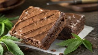 Immagine di copertina