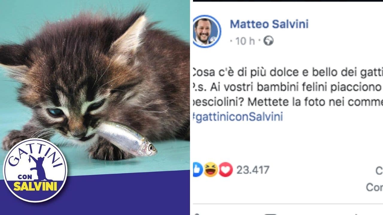  Le musa mancanti : Nera , rosa … trasparente : Cronache multicolori >  - Pagina 31 Salvini-sardine-2