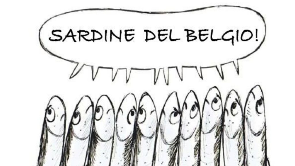 sardine anversa