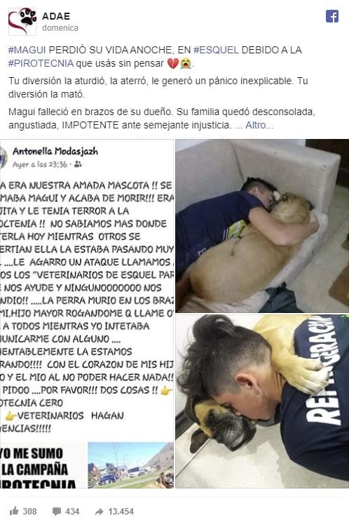 cane morto argentina