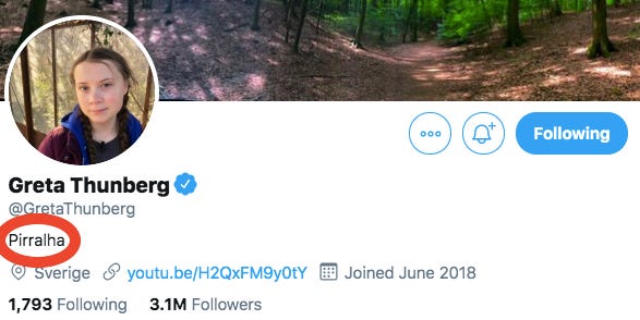 greta bolsonaro twitter