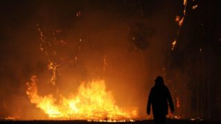 Immagine di copertina