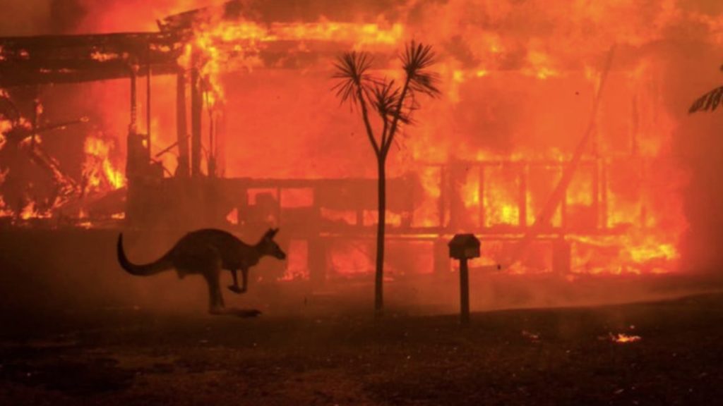 Australia incendi perché