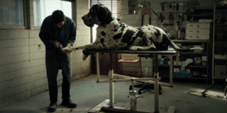 Immagine di copertina