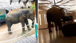 Immagine di copertina