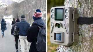 Immagine di copertina