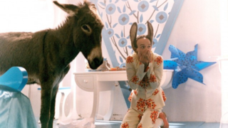 Immagine di copertina