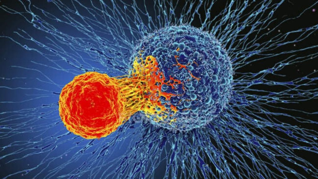 scoperta cellula contro cancro