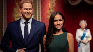 Immagine di copertina