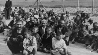 Immagine di copertina