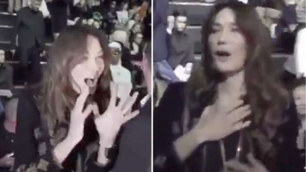 coronavirus carla bruni