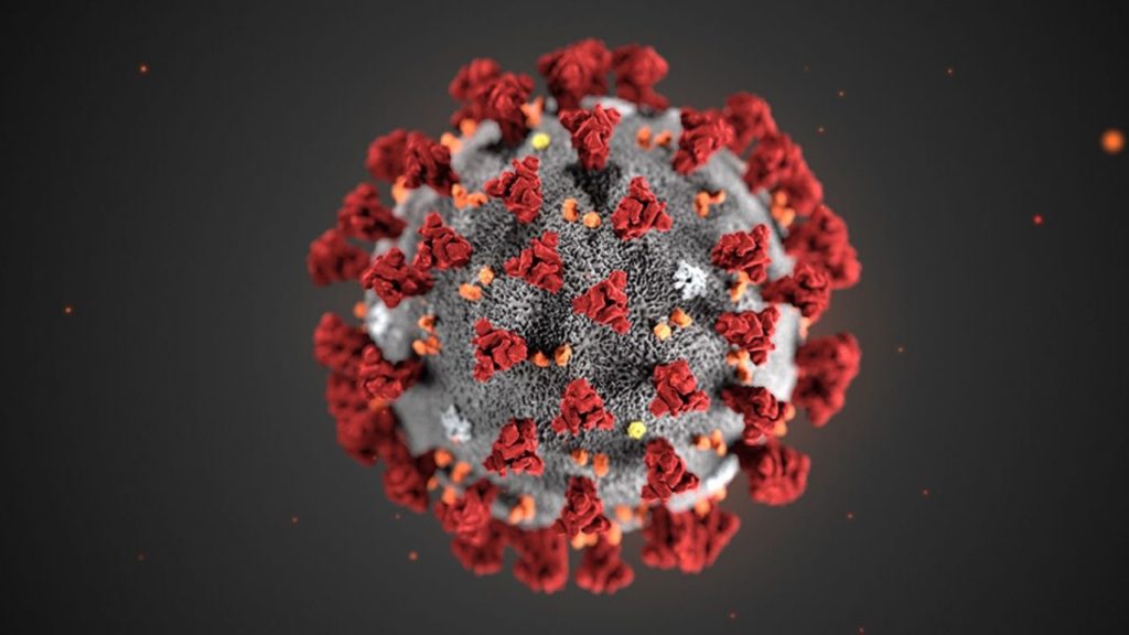 coronavirus creato in laboratorio