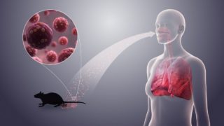 Immagine di copertina