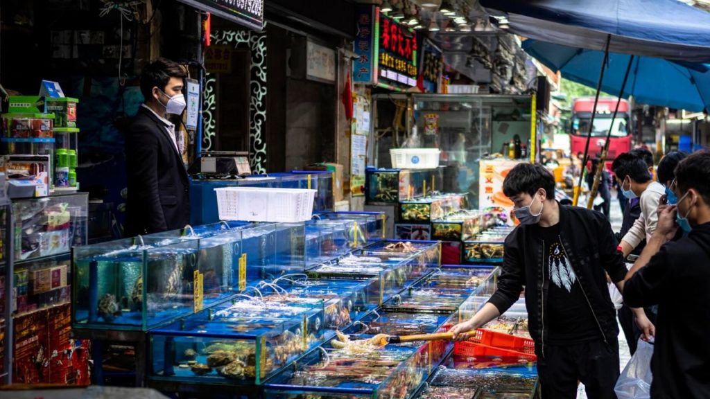 cina mercati carne pipistrelli