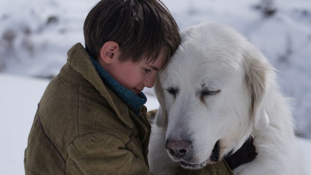 belle e sebastien amici per sempre