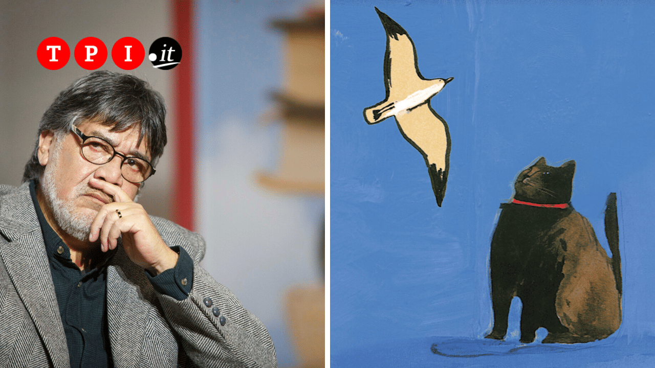 Luis Sepulveda La Gabbianella E Il Gatto