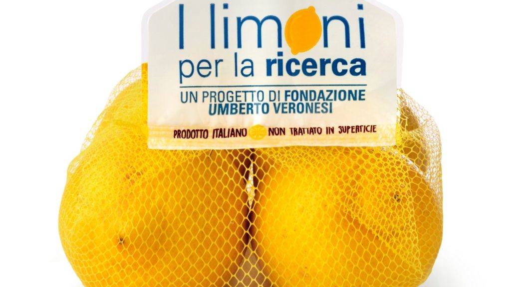i limoni per la ricerca