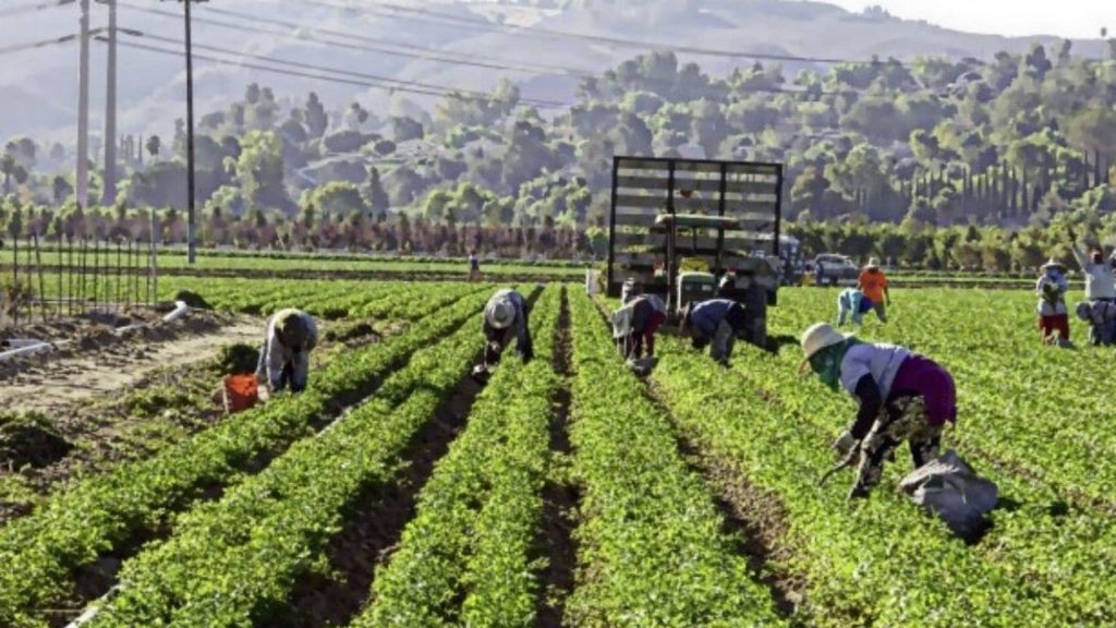 regolarizzazione migranti