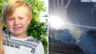 Immagine di copertina