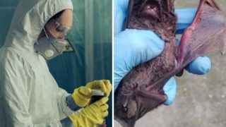 Immagine di copertina