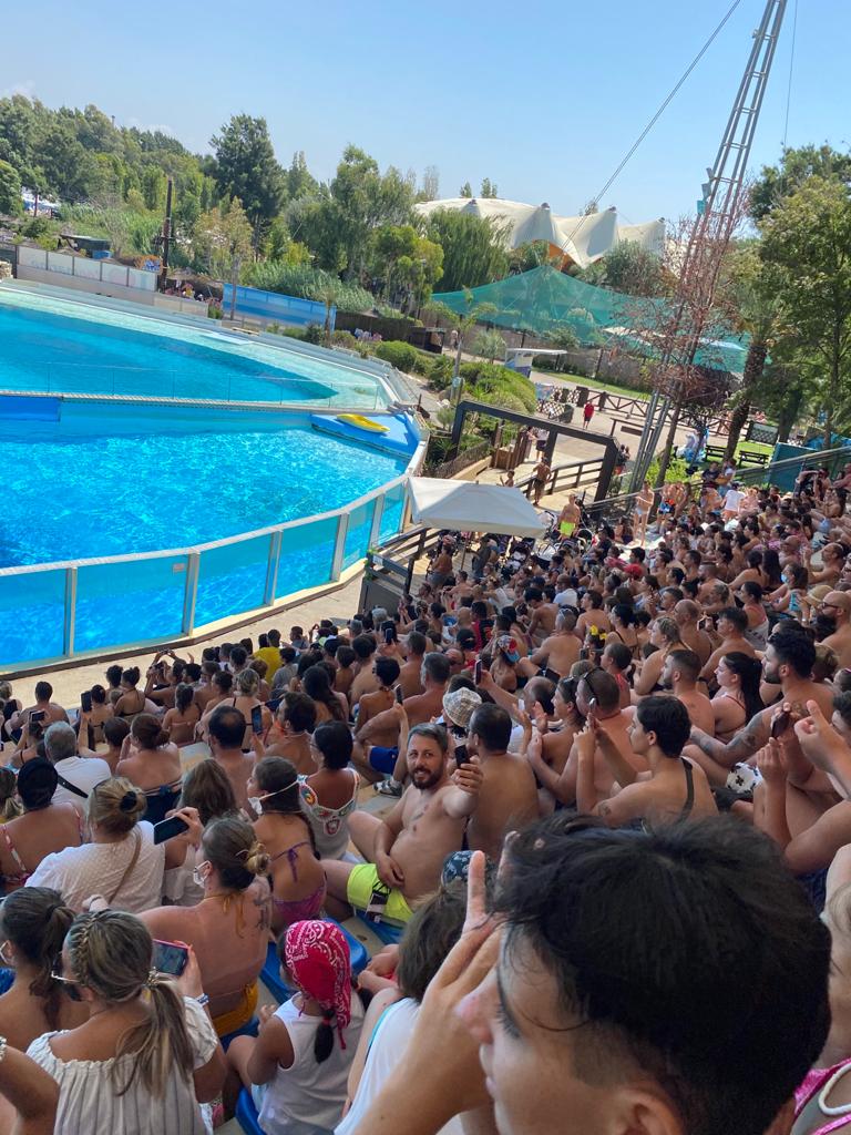 coronavirus zoomarine assembramenti