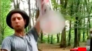 Immagine di copertina