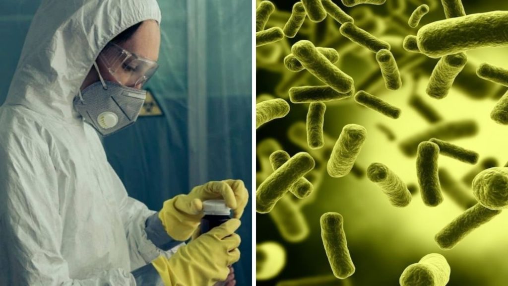 cina batteri laboratorio persone ammalate