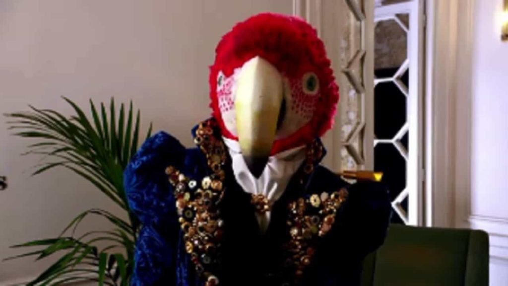 chi è pappagallo il cantante mascherato 2021