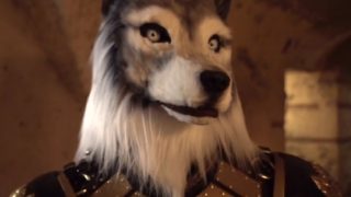 Immagine di copertina