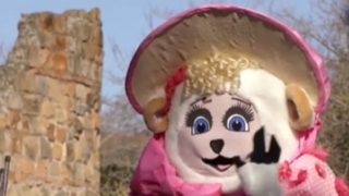 Immagine di copertina