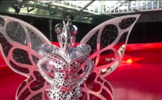 Immagine di copertina