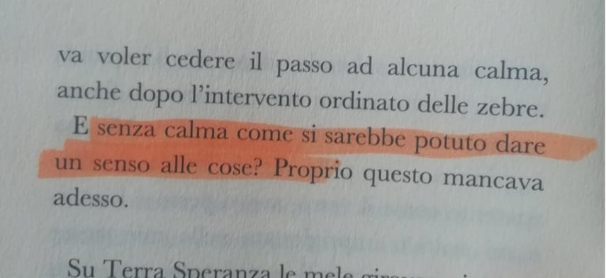 tutti su per terra recensione