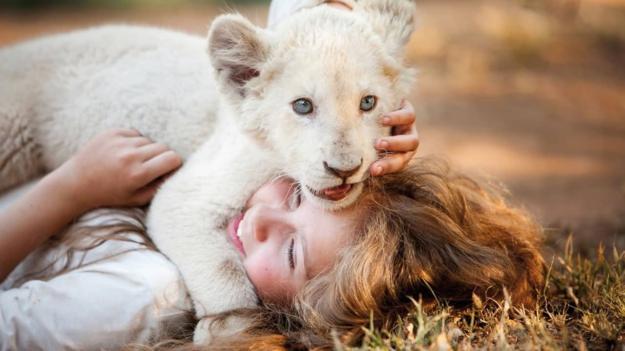 Dove Vedere Il Lupo E Il Leone