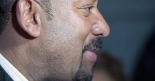 Immagine di copertina