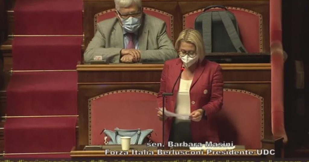 barbara masini discorso ddl zan