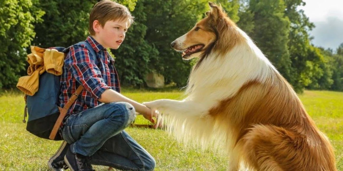 lassie torna a casa trama cast film sky cinema