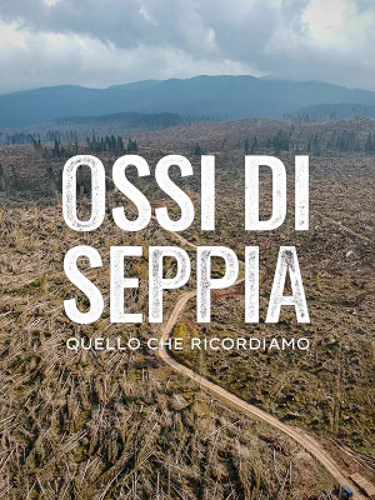 ossi di seppia quello che ricordiamo raiplay