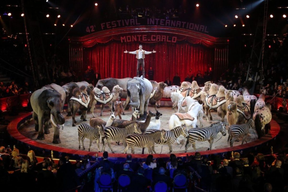 Festival Internazionale del Circo di Montecarlo rai 3 24 dicembre 2021