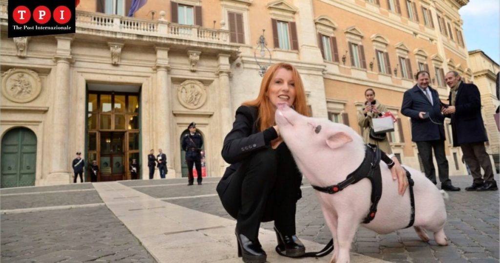 michela brambilla maiali