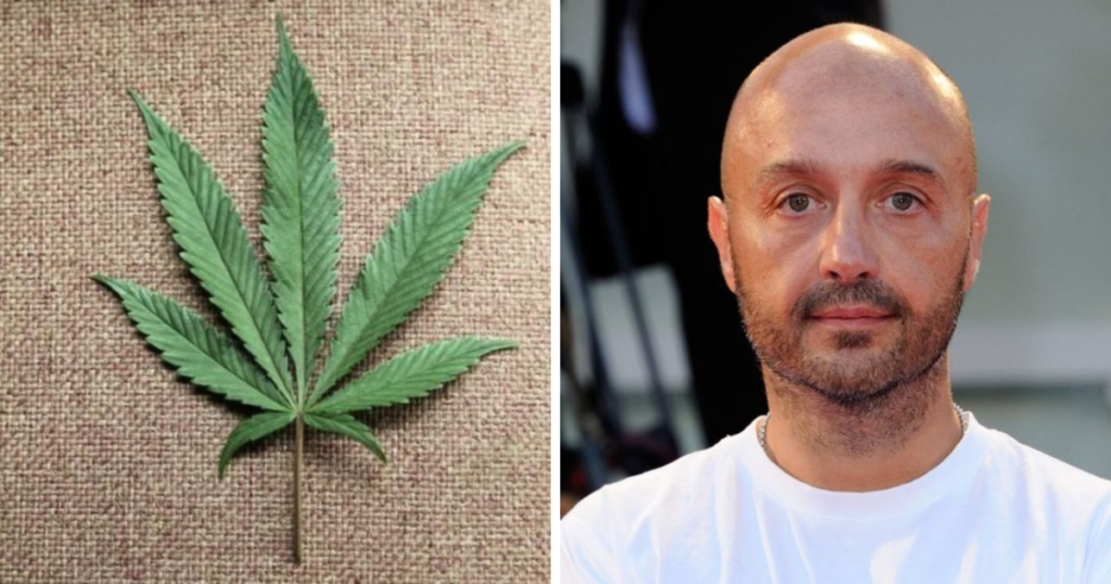 bastianich cannabis