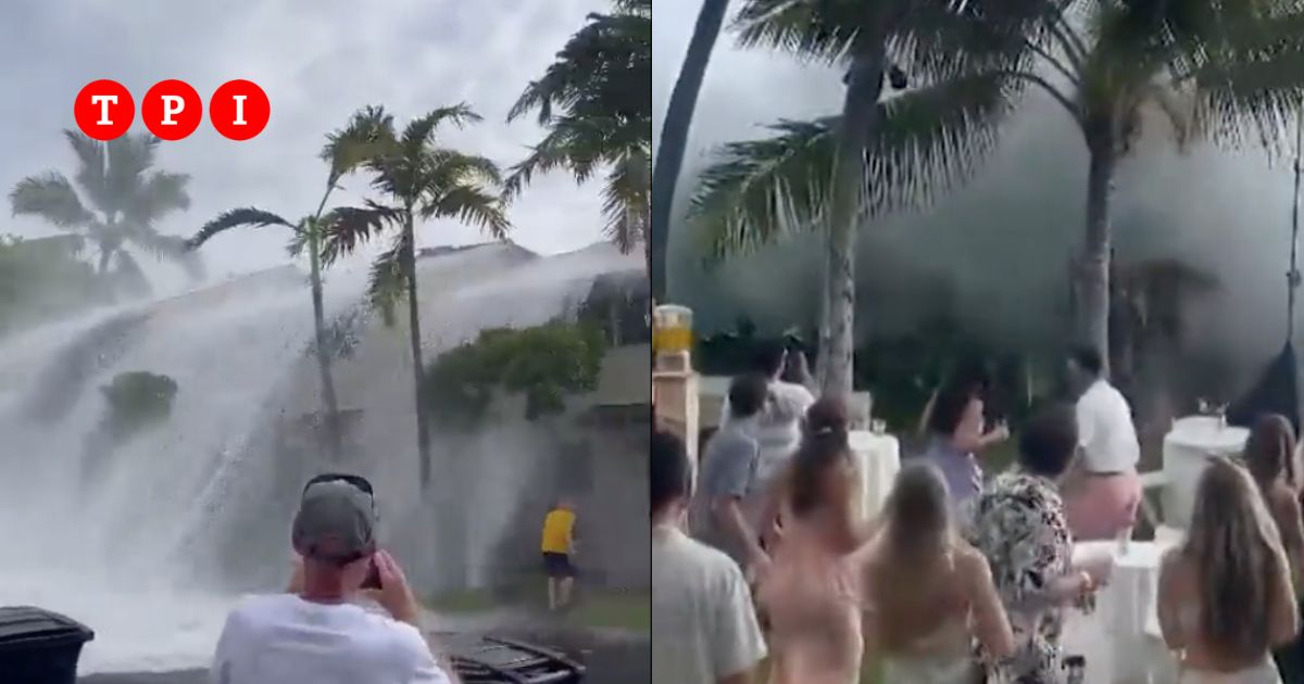 tra le onde delle hawaii