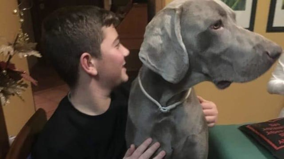 roma arrestato agente