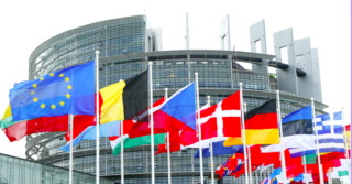 Immagine di copertina