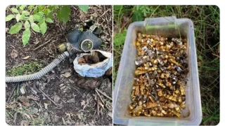 Immagine di copertina