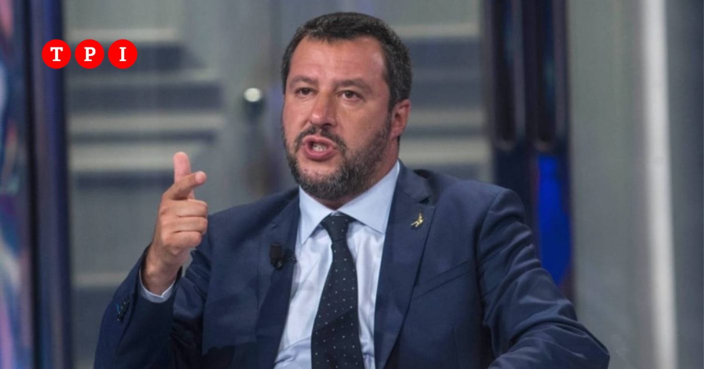 Ponte sullo stretto, Salvini: “Pericolo per gli uccelli? Non sono scemi, lo eviteranno”