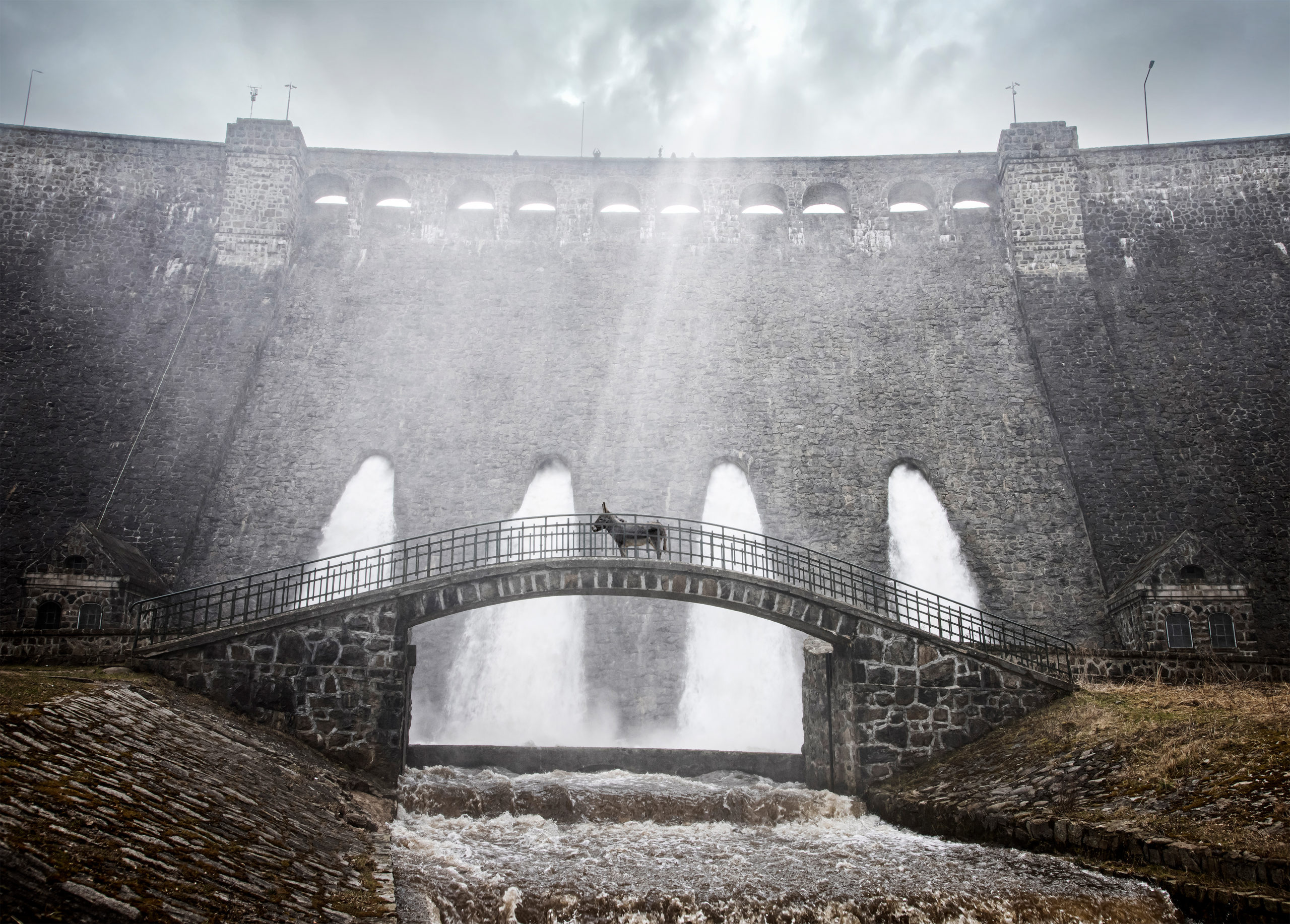 ©AnetaGębska_FilipGębski